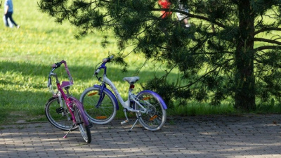 В Коломне около 1,5 тыс. детей отдохнут в летних загородных лагерях