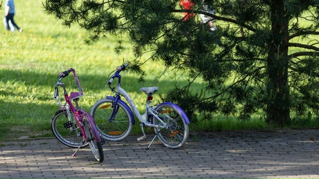 В Коломне около 1,5 тыс. детей отдохнут в летних загородных лагерях