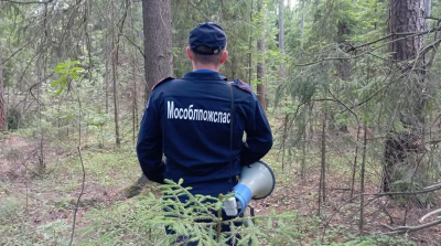 Сотрудники Мособлпожспаса отыскали и эвакуировали женщину, которая заблудилась во время прогулки в Егорьевском лесу