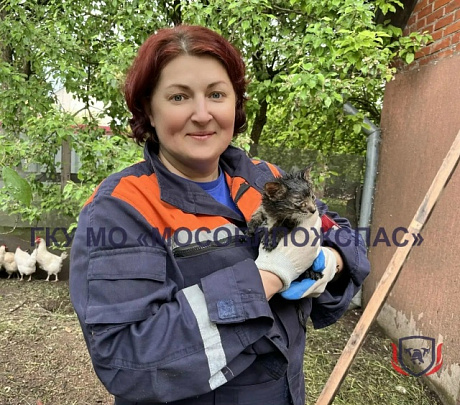 В Луховицах спасли котёнка